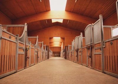 home_stables_667px