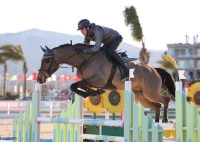Clarence | Castle Stables Showjumping