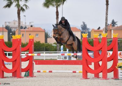 Clarence | Castle Stables Showjumping